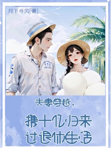 夫妻穿越，携十亿归来过退休生活